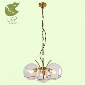 Подвесная люстра Lussole Anchorage GRLSP-9556 в Кунгуре - kungur.mebel24.online | фото 3