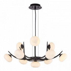 Подвесная люстра Lussole Blubber LSP-8937 в Кунгуре - kungur.mebel24.online | фото 3