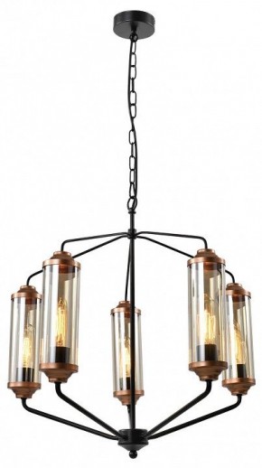 Подвесная люстра Lussole Fishers LSP-8800 в Кунгуре - kungur.mebel24.online | фото 2