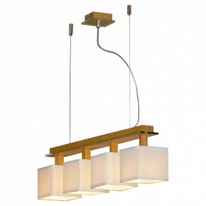 Подвесная люстра Lussole Montone LSF-2503-04 в Кунгуре - kungur.mebel24.online | фото 2