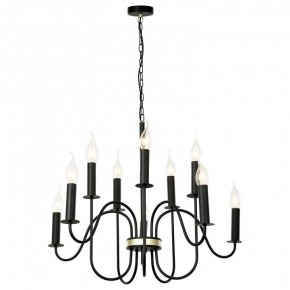 Подвесная люстра Lussole Roosevelt LSP-8198 в Кунгуре - kungur.mebel24.online | фото 2