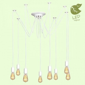 Подвесная люстра Lussole Shirley GRLSP-8173 в Кунгуре - kungur.mebel24.online | фото 3