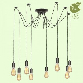 Подвесная люстра Lussole Shirley GRLSP-9840 в Кунгуре - kungur.mebel24.online | фото 2