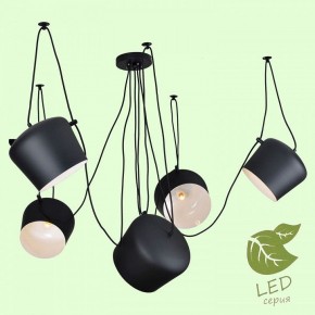 Подвесная люстра Lussole Shirley GRLSP-9919 в Кунгуре - kungur.mebel24.online | фото