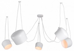 Подвесная люстра Lussole Shirley LSP-8175 в Кунгуре - kungur.mebel24.online | фото
