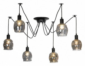 Подвесная люстра Lussole Shirley LSP-8436 в Кунгуре - kungur.mebel24.online | фото 2