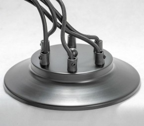 Подвесная люстра Lussole Shirley LSP-8436 в Кунгуре - kungur.mebel24.online | фото 3