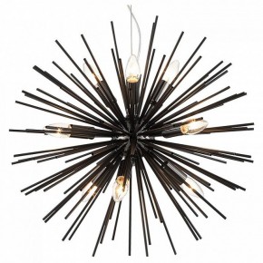 Подвесная люстра Lussole Star LSP-8337 в Кунгуре - kungur.mebel24.online | фото 2