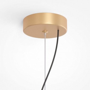 Подвесная люстра Maytoni Reels MOD268PL-03G в Кунгуре - kungur.mebel24.online | фото 5
