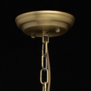 Подвесная люстра MW-Light Альгеро 3 285010703 в Кунгуре - kungur.mebel24.online | фото 14