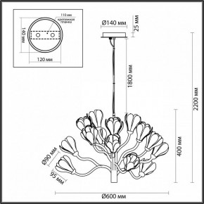 Подвесная люстра Odeon Light Gardi 5090/15 в Кунгуре - kungur.mebel24.online | фото 6