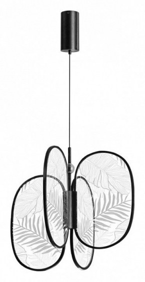 Подвесная люстра Odeon Light Piuma 6665/53L в Кунгуре - kungur.mebel24.online | фото 3