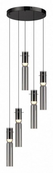 Подвесная люстра Odeon Light Scrow 5058/25L в Кунгуре - kungur.mebel24.online | фото 2