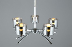 Подвесная люстра Omnilux Alassio OML-55803-05 в Кунгуре - kungur.mebel24.online | фото 5