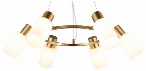 Подвесная люстра Omnilux Ales OML-69103-06 в Кунгуре - kungur.mebel24.online | фото
