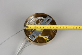 Подвесная люстра Omnilux Ales OML-69103-06 в Кунгуре - kungur.mebel24.online | фото 11