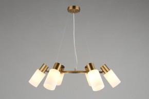 Подвесная люстра Omnilux Ales OML-69103-06 в Кунгуре - kungur.mebel24.online | фото 4