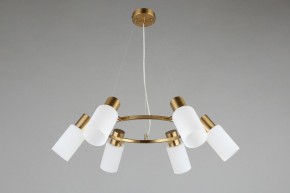 Подвесная люстра Omnilux Ales OML-69103-06 в Кунгуре - kungur.mebel24.online | фото 5