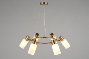 Подвесная люстра Omnilux Ales OML-69103-06 в Кунгуре - kungur.mebel24.online | фото 6