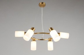 Подвесная люстра Omnilux Ales OML-69103-06 в Кунгуре - kungur.mebel24.online | фото 7