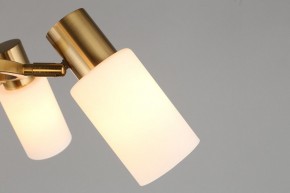 Подвесная люстра Omnilux Ales OML-69103-06 в Кунгуре - kungur.mebel24.online | фото 9