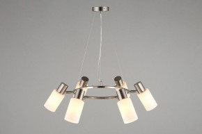 Подвесная люстра Omnilux Ales OML-69113-06 в Кунгуре - kungur.mebel24.online | фото 6