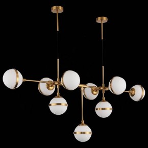 Подвесная люстра ST-Luce Arbe SL1157.303.09 в Кунгуре - kungur.mebel24.online | фото 4