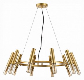 Подвесная люстра ST-Luce Eclip SL1236.203.10 в Кунгуре - kungur.mebel24.online | фото 3
