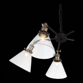 Подвесная люстра ST-Luce Evoluto SL237.413.05 в Кунгуре - kungur.mebel24.online | фото 7