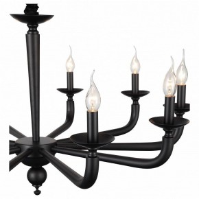 Подвесная люстра ST-Luce SL1114 SL1114.403.10 в Кунгуре - kungur.mebel24.online | фото 4