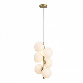 Подвесная люстра ST-Luce Sweven SL1519.303.06 в Кунгуре - kungur.mebel24.online | фото 4