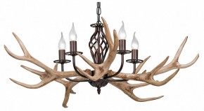 Подвесная люстра Vitaluce  V1491/5 в Кунгуре - kungur.mebel24.online | фото