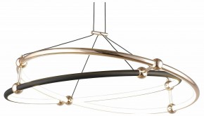 Подвесной светильник Aployt Diana APL.034.03.40 в Кунгуре - kungur.mebel24.online | фото 1