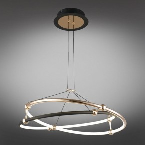 Подвесной светильник Aployt Diana APL.034.03.40 в Кунгуре - kungur.mebel24.online | фото 11