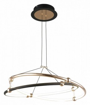 Подвесной светильник Aployt Diana APL.034.03.40 в Кунгуре - kungur.mebel24.online | фото 2