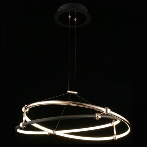 Подвесной светильник Aployt Diana APL.034.03.40 в Кунгуре - kungur.mebel24.online | фото 3