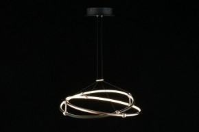 Подвесной светильник Aployt Diana APL.034.03.40 в Кунгуре - kungur.mebel24.online | фото 5