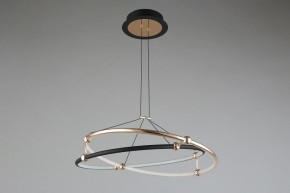 Подвесной светильник Aployt Diana APL.034.03.40 в Кунгуре - kungur.mebel24.online | фото 6