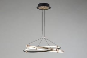 Подвесной светильник Aployt Diana APL.034.03.40 в Кунгуре - kungur.mebel24.online | фото 7