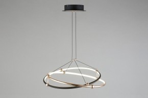 Подвесной светильник Aployt Diana APL.034.03.40 в Кунгуре - kungur.mebel24.online | фото 9