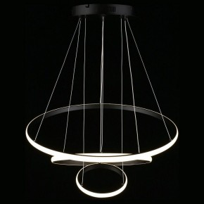 Подвесной светильник Aployt Janina APL.018.03.60 в Кунгуре - kungur.mebel24.online | фото 12