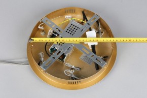 Подвесной светильник Aployt Janina APL.018.13.60 в Кунгуре - kungur.mebel24.online | фото 11