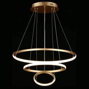 Подвесной светильник Aployt Janina APL.018.13.60 в Кунгуре - kungur.mebel24.online | фото 4