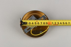 Подвесной светильник Aployt Lora APL.728.06.01 в Кунгуре - kungur.mebel24.online | фото 8