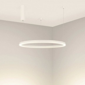 Подвесной светильник Arlight CONGO 046248 в Кунгуре - kungur.mebel24.online | фото 2