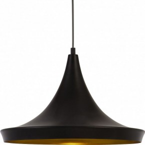 Подвесной светильник Arte Lamp Capello A3406SP-1BK в Кунгуре - kungur.mebel24.online | фото 3