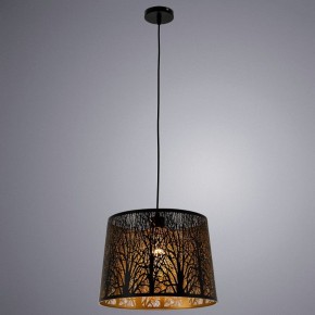 Подвесной светильник Arte Lamp Celesta A2769SP-1BK в Кунгуре - kungur.mebel24.online | фото 3