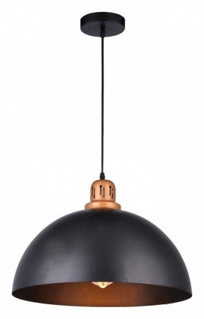 Подвесной светильник Arte Lamp Eurica A4249SP-1BK в Кунгуре - kungur.mebel24.online | фото 2