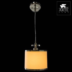 Подвесной светильник Arte Lamp Furore A3990SP-1CC в Кунгуре - kungur.mebel24.online | фото 3