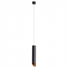 Подвесной светильник Arte Lamp Pilon-Gold A1536SP-1BK в Кунгуре - kungur.mebel24.online | фото 2